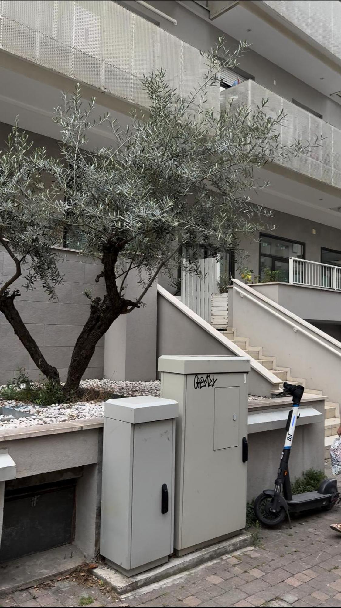 Rimini Marina Apartamento Exterior foto